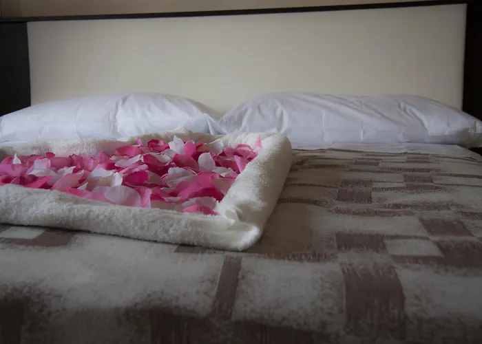 Bed and Breakfast Stardust