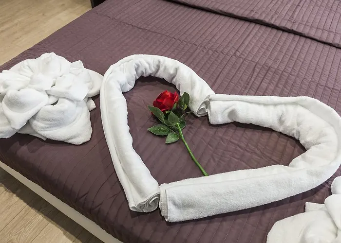 住宿加早餐酒店 Stardust